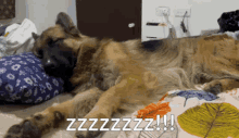 Sleepy Dog Sleeping GIF - Sleepy Dog Sleeping Dog Sleeping GIFs