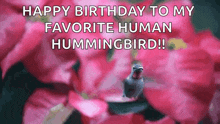Animals Humming Birds GIF - Animals Humming Birds GIFs
