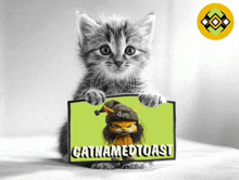 a kitten is holding up a sign that says catnamedtoast
