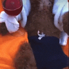 a close up of a stuffed animal laying on a bed with a bowl on top of it
