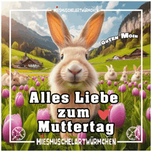 a picture of a bunny with the words alles liebe zum muttertag on it