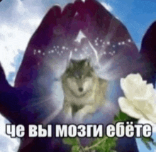 a wolf is standing in the middle of a circle of hands surrounded by flowers .