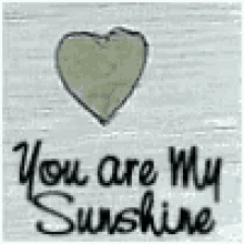 you are my sunshine my love sunshine