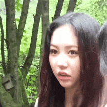 a close up of a woman 's face in front of trees .