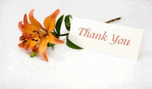Thank You Thanks GIF - Thank You Thanks Orange Flower GIFs