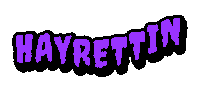 a purple and black logo that says hayrettin on a white background