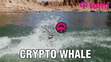 Crypto Whale GIF - Crypto Whale Whale Crypto GIFs