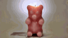 Skeleton Bear GIF - Skeleton Bear Candle GIFs