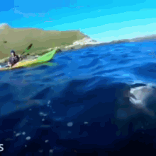 Smack In Your Face Seal GIF - Smack In Your Face Seal Kayak GIFs