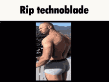 Rip Technoblade GIF - Rip Technoblade Minecraft GIFs