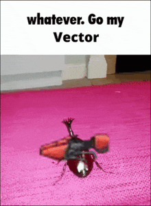 a picture of a bug on a pink rug with the words `` whatever go my vector '' .