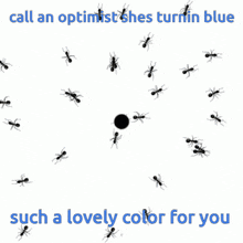 A Perfect Circle Blue GIF - A Perfect Circle Blue Ants GIFs
