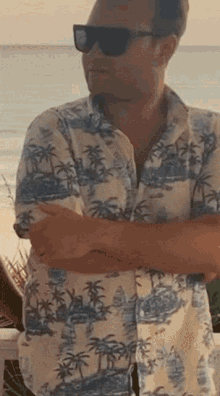 Hawaiian Shirt GIF