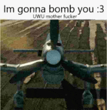 a plane is flying over a field and says `` im gonna bomb you : 3 '' .