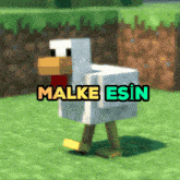 a picture of a chicken with the name malke esin written on it