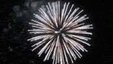 a fireworks display in the night sky with a large firework in the center