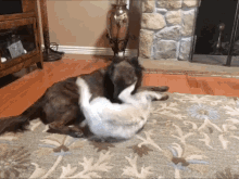 Funny Animals Mansell GIF
