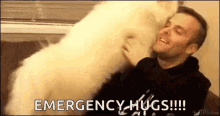 Samoyed Dog Love GIF - Samoyed Dog Love Hug GIFs