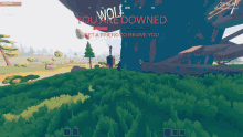 a screenshot of a video game with the words you are downed