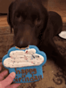I Love You Dog GIF - I Love You Dog Happy Birthday GIFs