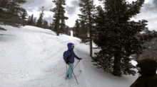 William Robert Snow Skiing GIF - William Robert Snow Skiing Snow GIFs