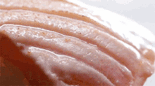 Salmon Food GIF