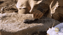 Hammering The Stone The Great Human Race GIF - Hammering The Stone The Great Human Race Making A Knife GIFs
