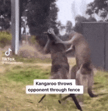 Keyboms Kangaroo GIF