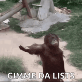 Monke Monkey GIF