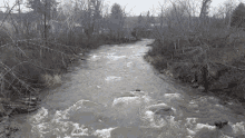 Nature Water GIF