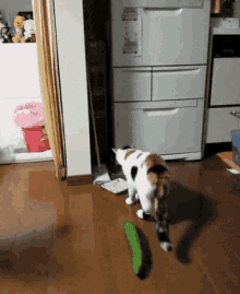 Scared Cat GIF - Scared Cat Cucumber GIFs