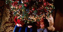 a group of people are sitting under a christmas tree in a living room .