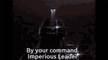 By Your Command Imperious Leader GIF - By Your Command Imperious Leader GIFs