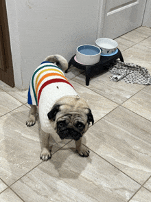 a pug dog wearing a rainbow colored sweater stands on a tile floor
