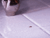 a white tile floor with a hole in the middle of it