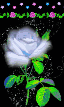 roses white flowers glitter