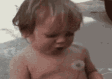 Baby Eats Dandelion  GIF - Baby Dandelion GIFs