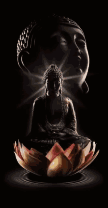 buddha spirit lotus