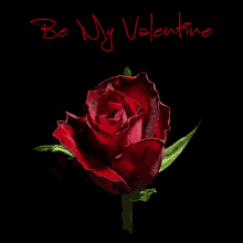 Be My Valentine Valentine GIF - Be My Valentine Valentine Valentines Day GIFs