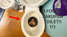 Sakupen Toilet GIF - Sakupen Toilet GIFs