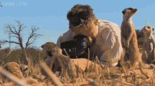 a man is taking a picture of meerkats with bbc one written on the bottom