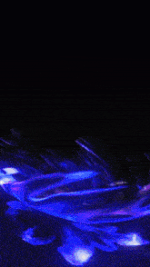 a dark background with purple and blue waves on it