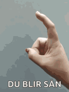 Tranqichaparral Finger GIF - Tranqichaparral Finger GIFs