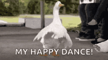 Goose Dance GIF