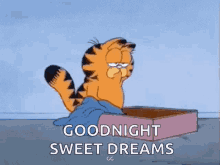 Sweet Dreams Goodnight GIF - Sweet Dreams Goodnight Garfield GIFs