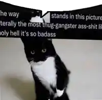 a black and white cat standing in front of a speech bubble that says he way stands in this picture