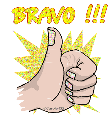Bravo Thumbs Up Sticker - Bravo Thumbs Up Well Done Stickers