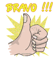 Bravo Thumbs Up Sticker - Bravo Thumbs Up Well Done Stickers