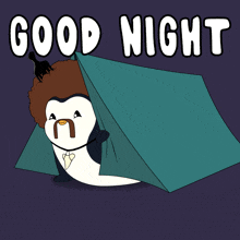Night Sleep GIF - Night Sleep Penguin GIFs