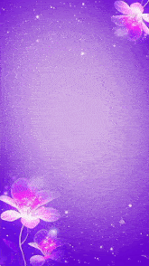 a purple background with flowers and stars on it .